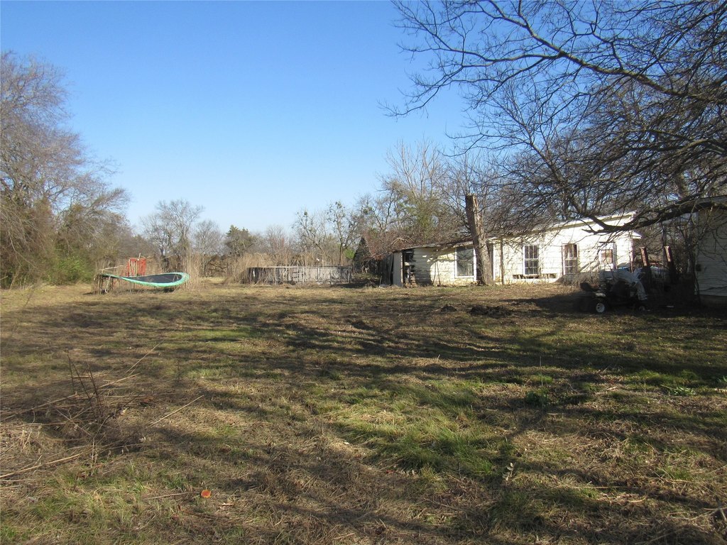 Picture 5