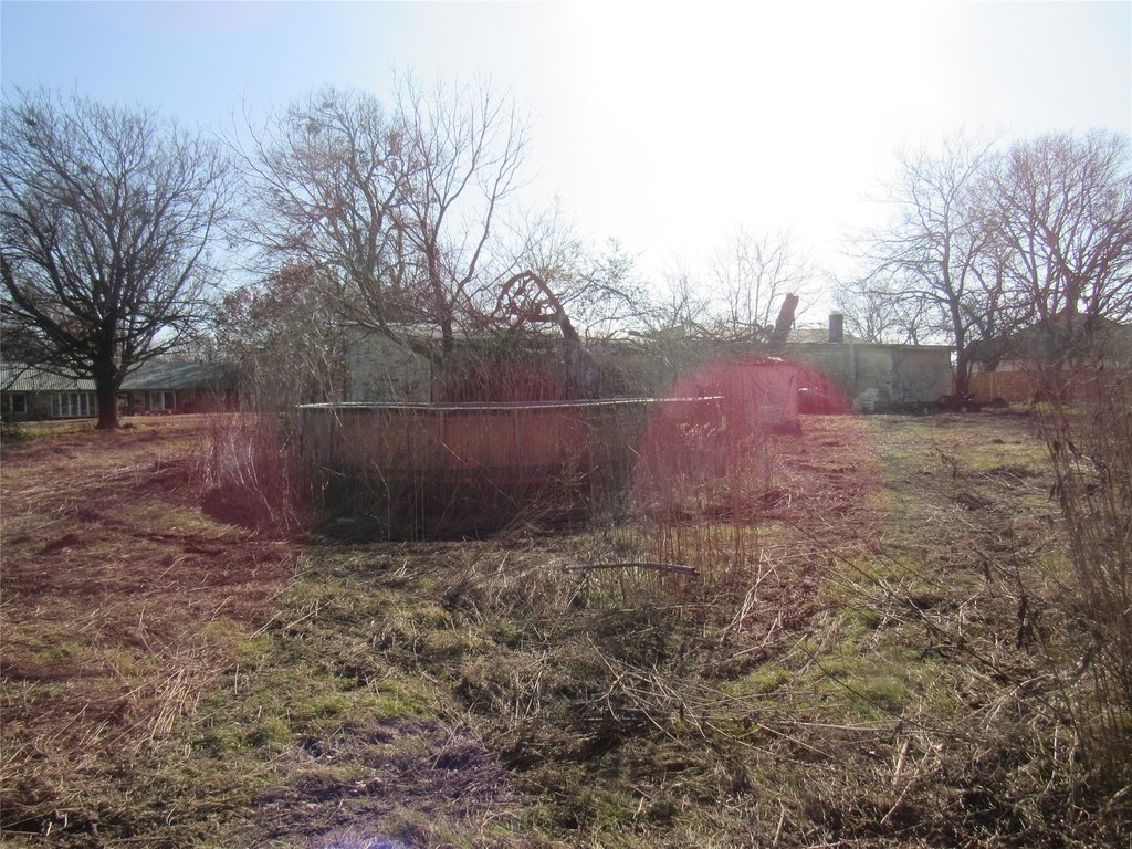 Picture 3