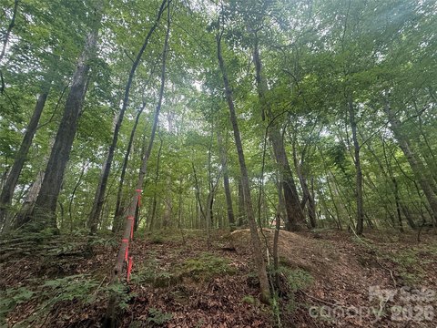 LAND - Troy, NC