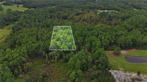 Land, POLK CITY, FL