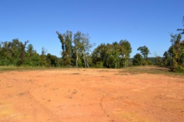 Picture 10