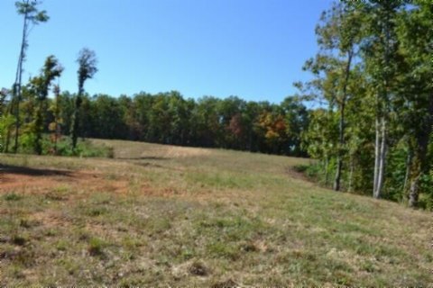 Land, Celina, TN