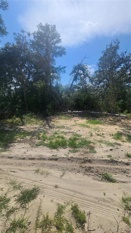 Picture 3