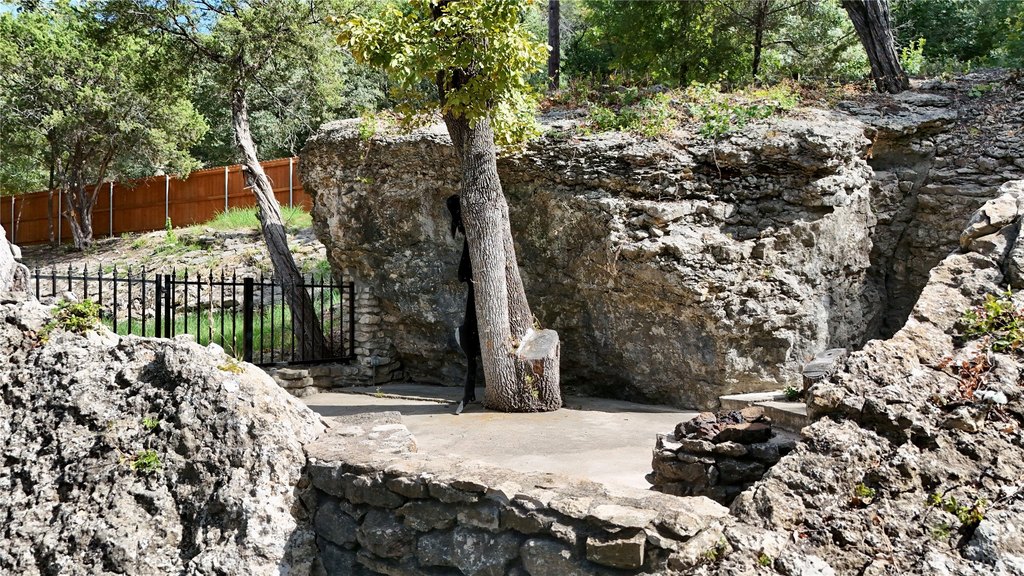 Picture 11