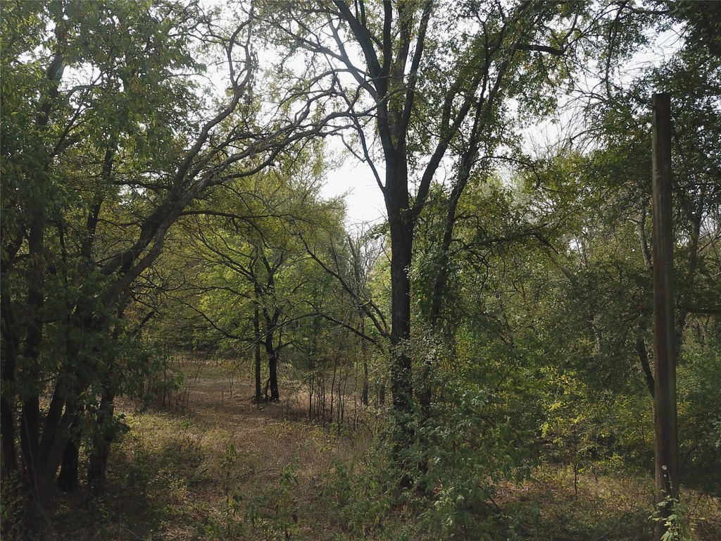 Picture 15