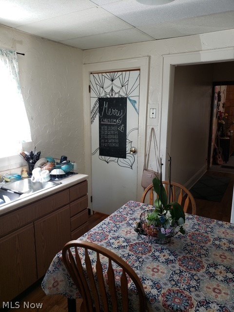 Picture 29