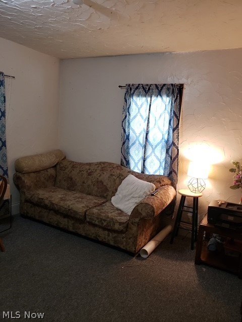 Picture 20