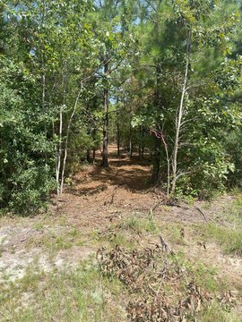 Kershaw County Land Opportunity