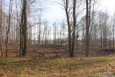 Residential Land in Jackson, MI