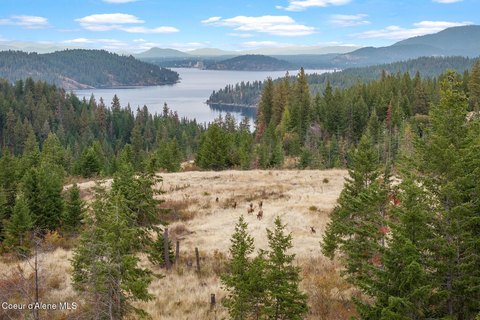Land, Harrison, ID