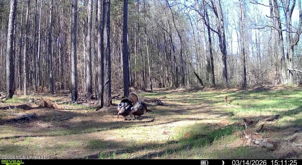 Picture 4