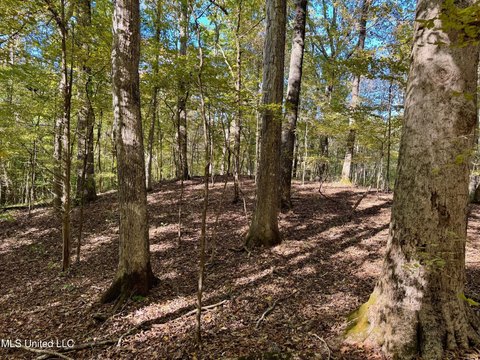 36 Acres in Lafayette County