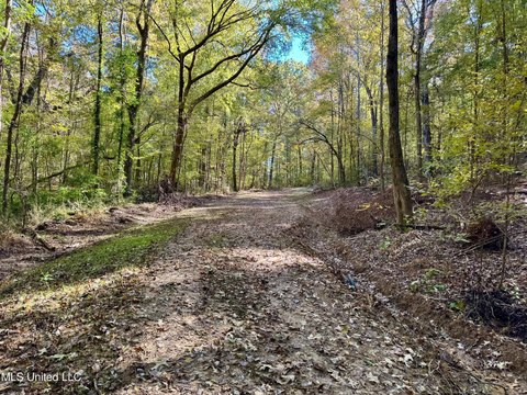 Oxford Land: Home Sites, Hunting