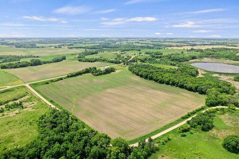 Farmland Parcel with Mature Tree Lines