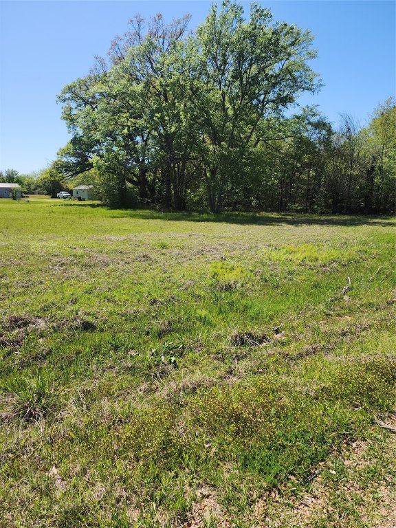 Picture 2