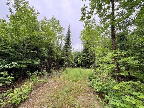 Recreation Land with Septic Approval