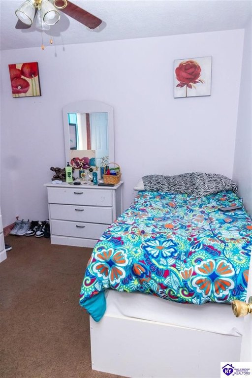 Picture 12