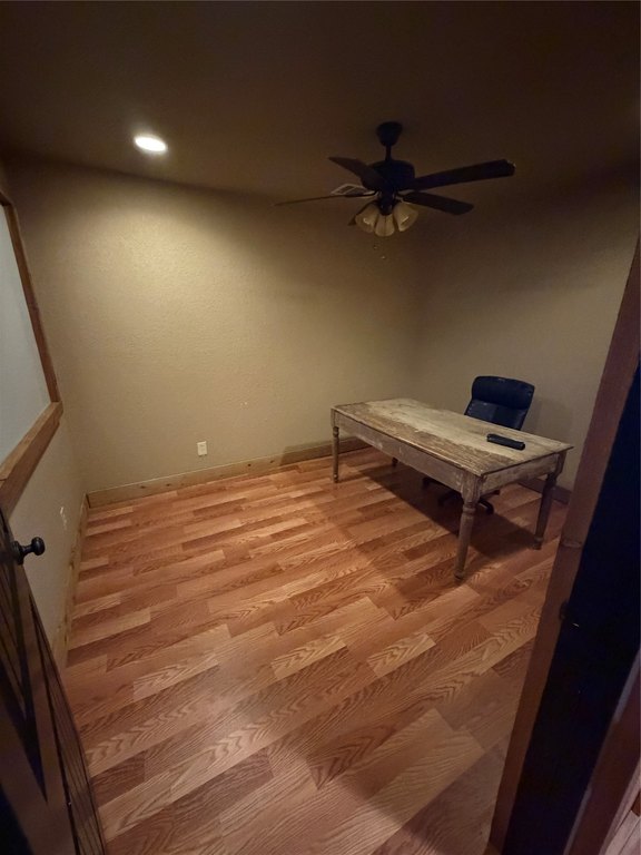 Picture 8