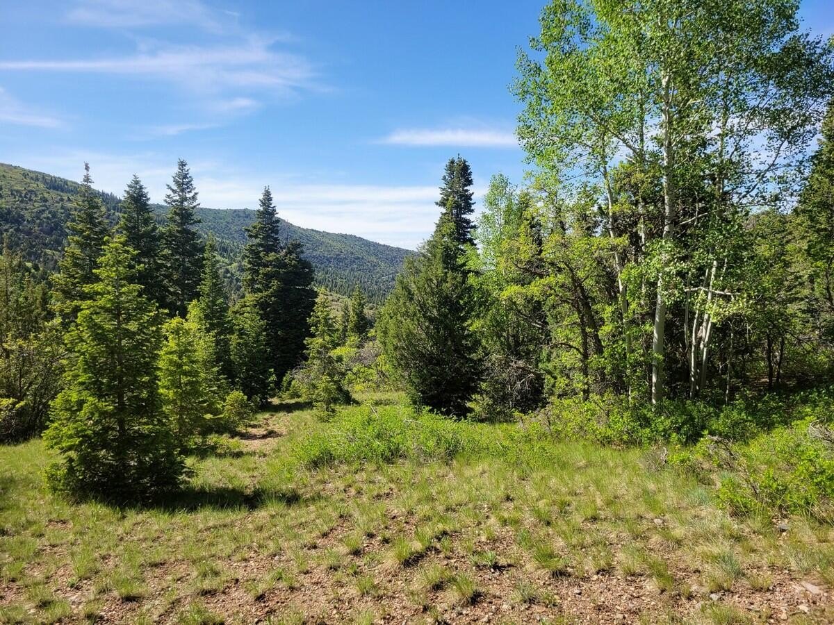 Mountain Recreational Land Near Brian Head