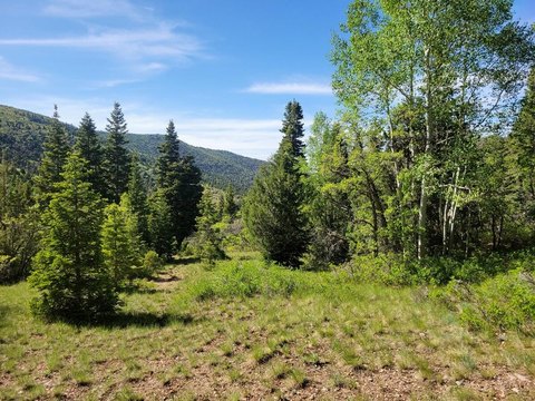 Mountain Recreational Property with Building Lots