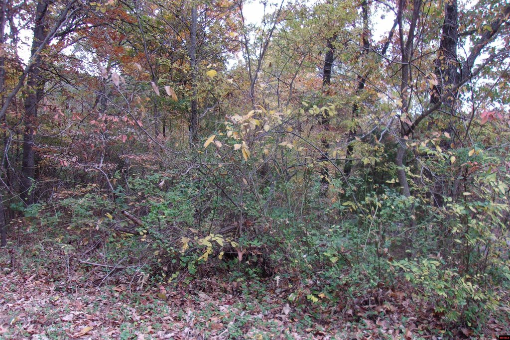 Picture 8