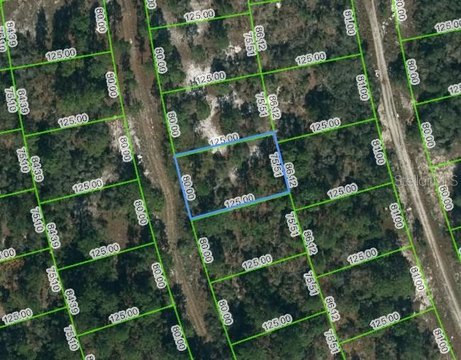 Residential Land in Lake Placid