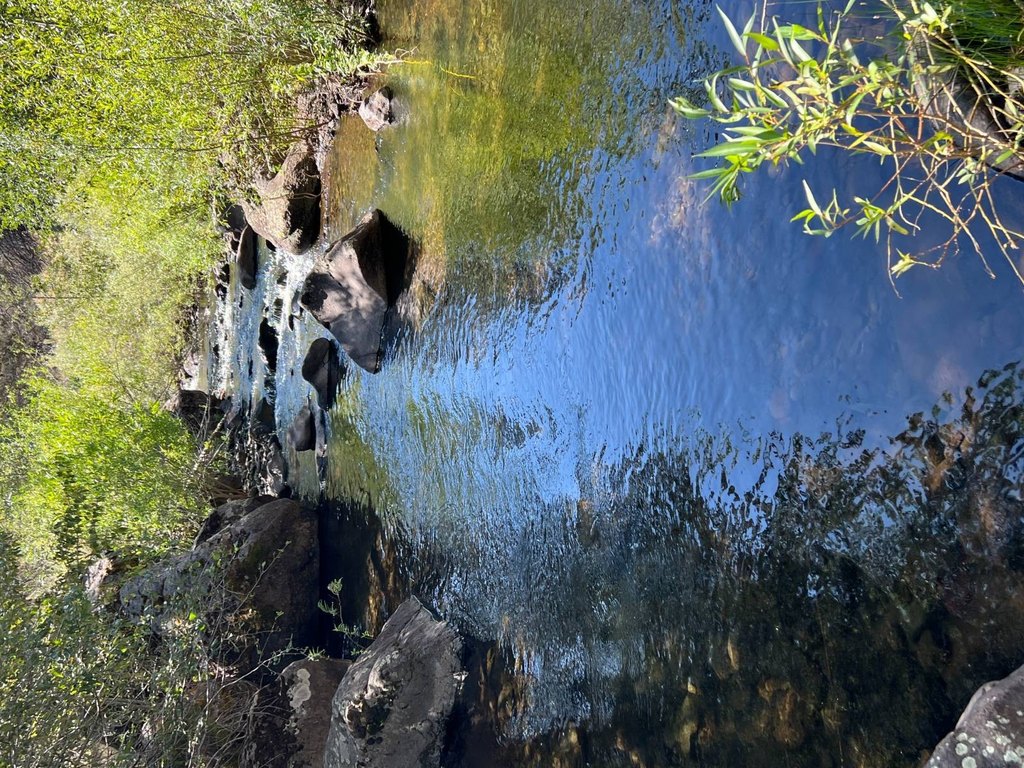Picture 41