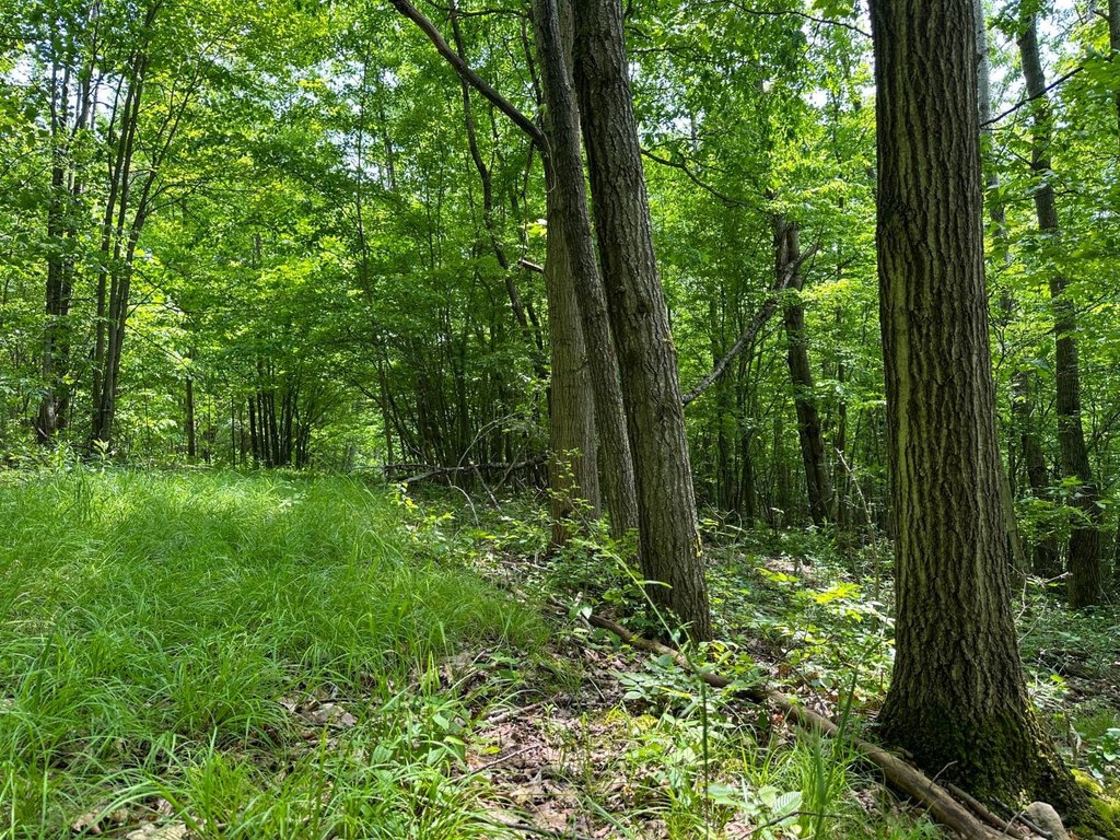 Picture 40