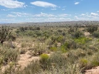 Land For Sale, Rio Rancho