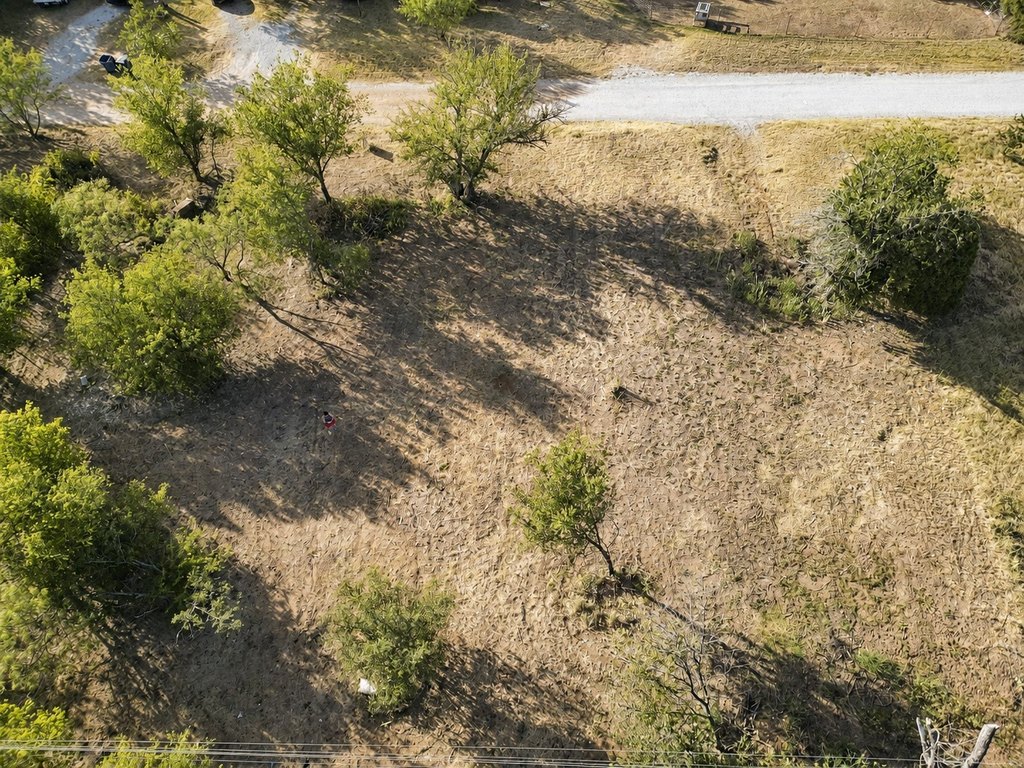 Picture 9