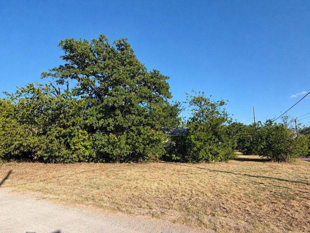 Picture 27