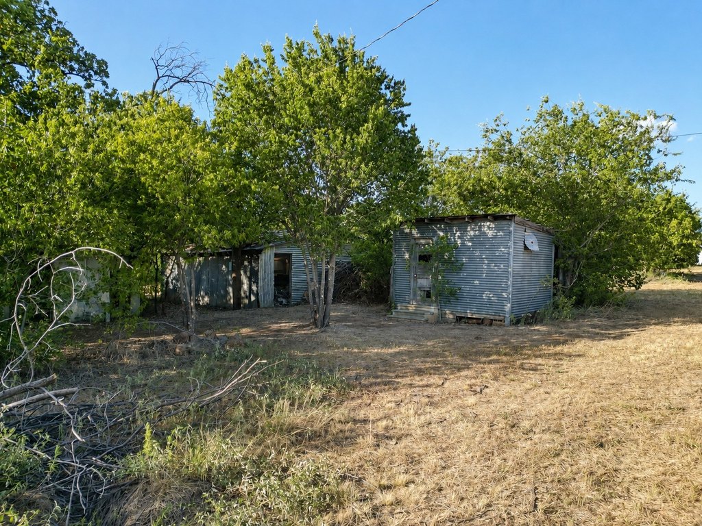 Picture 17