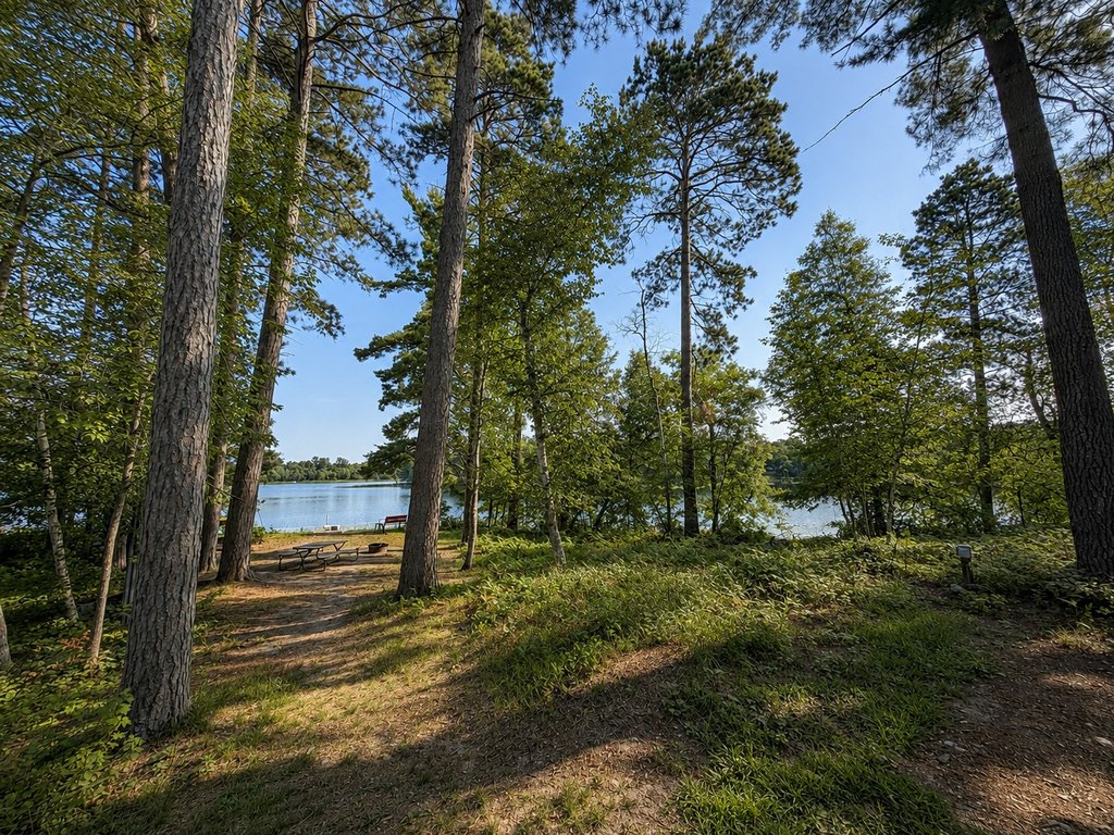 Picture 30