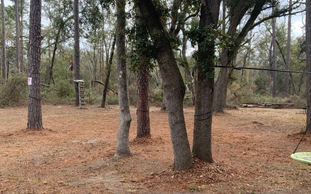 Picture 9