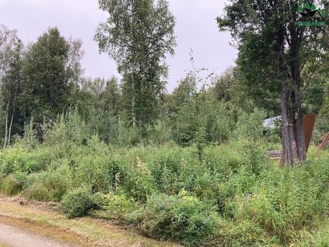 Fairbanks Land with Hillside View