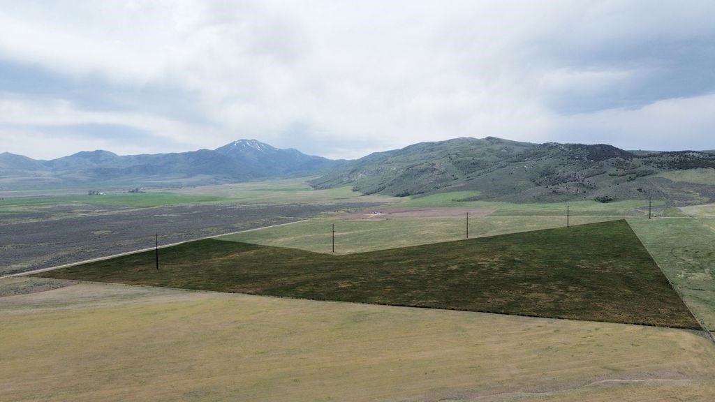 Picture 48