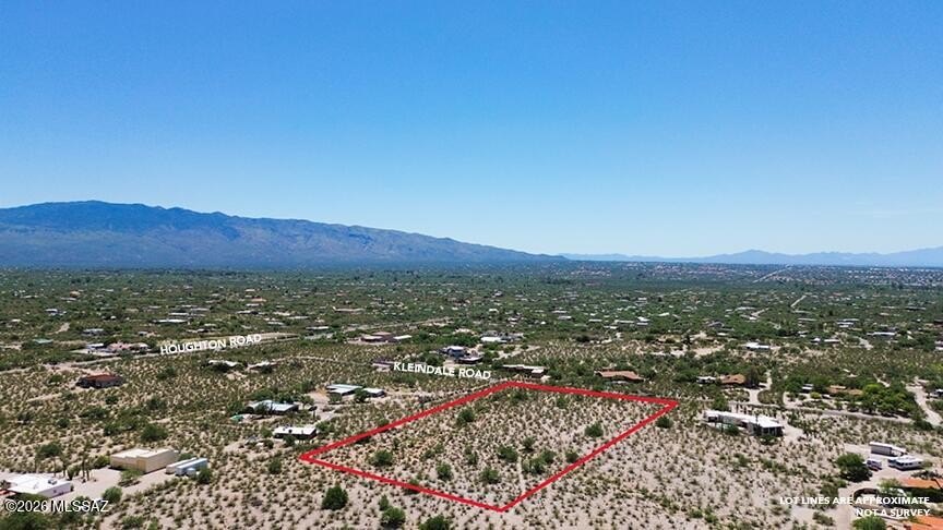 Picture 8