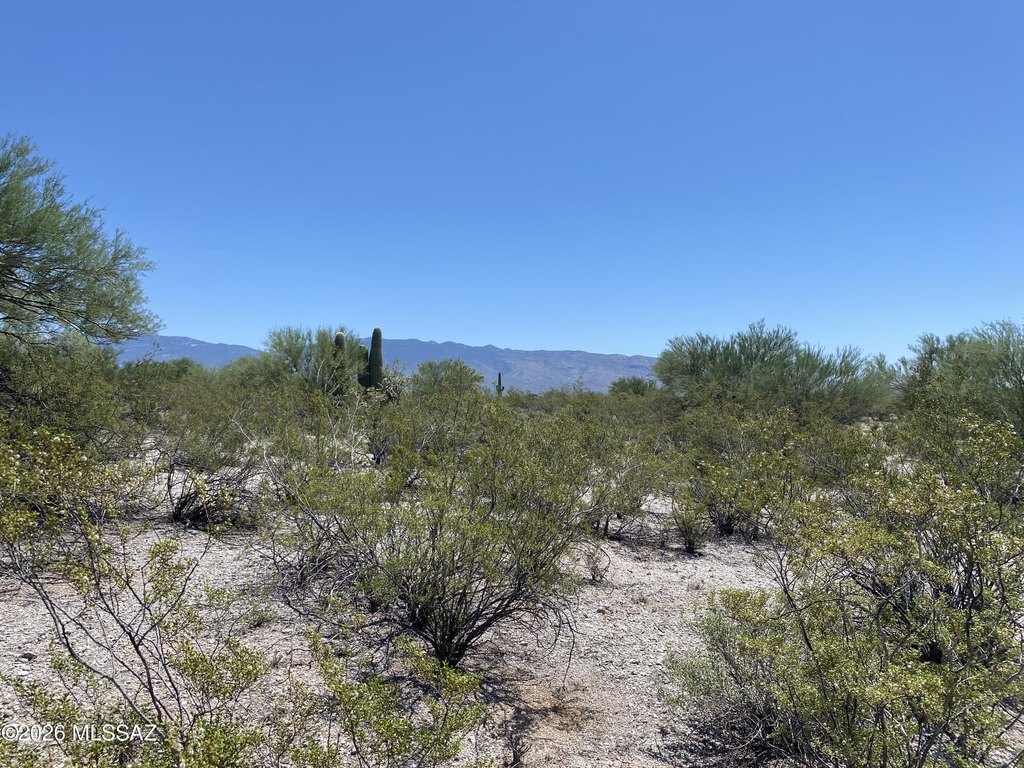 Picture 22