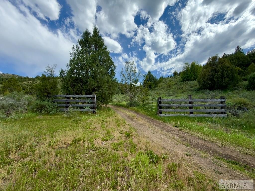 Picture 41