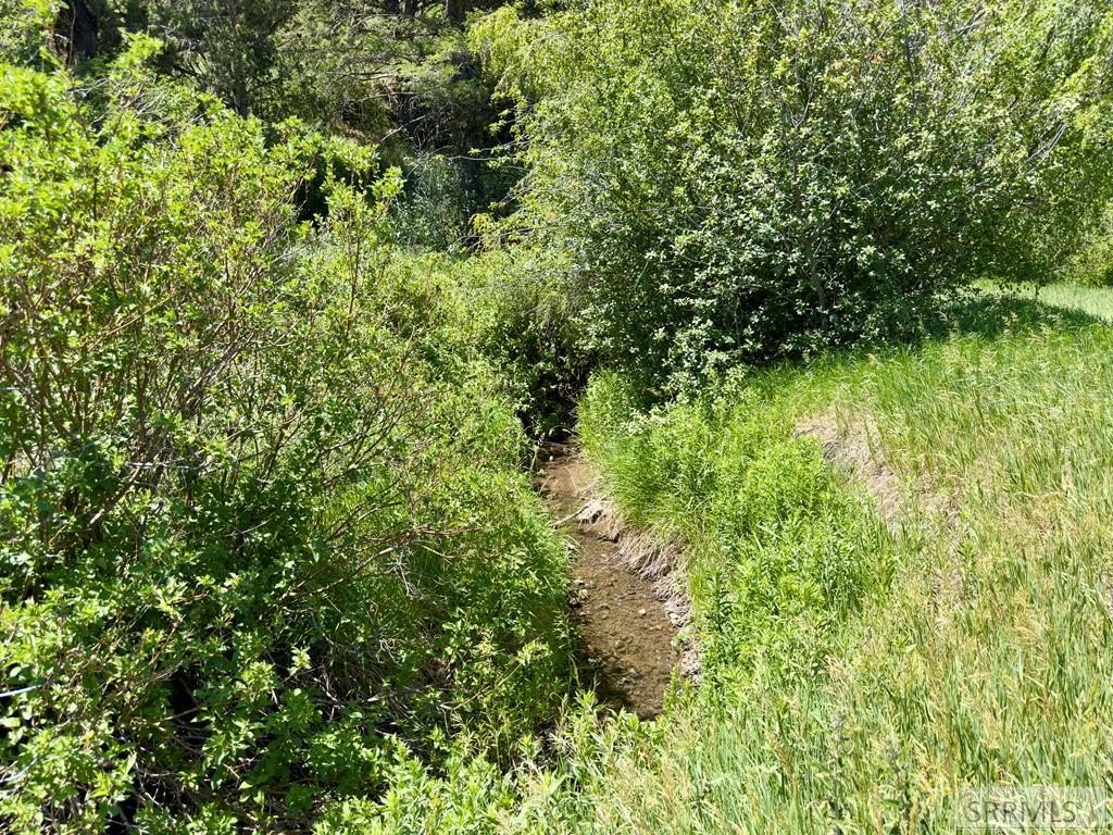 Picture 21
