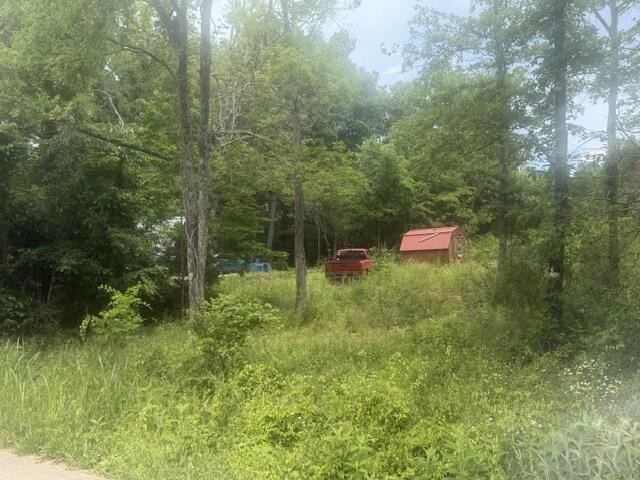 Picture 2