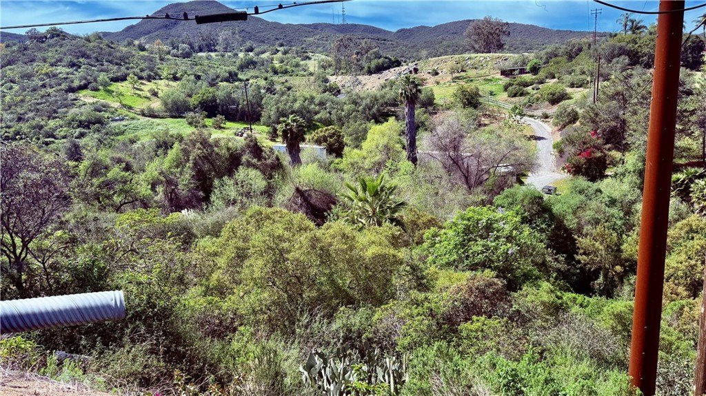 Picture 12