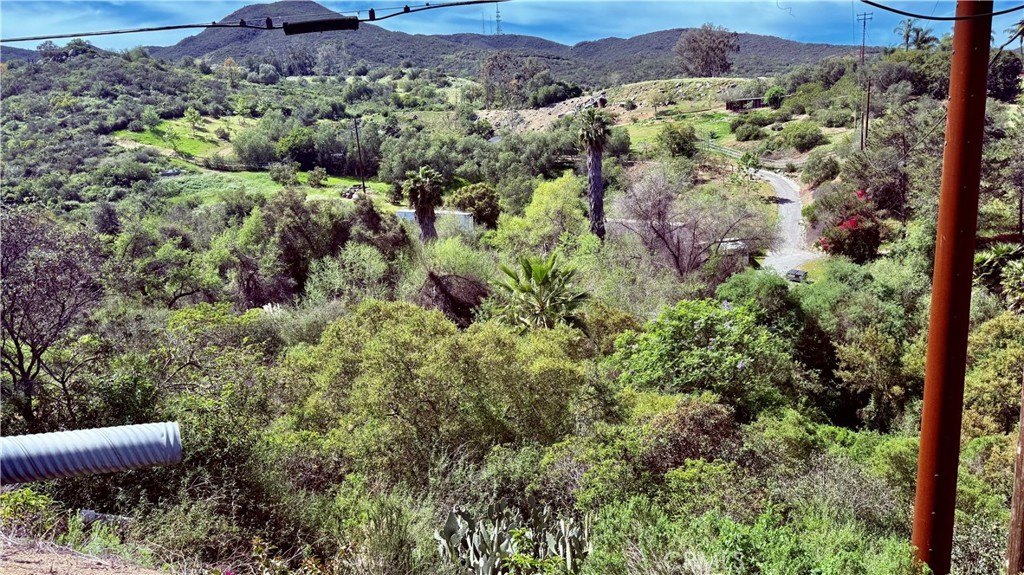 Picture 12