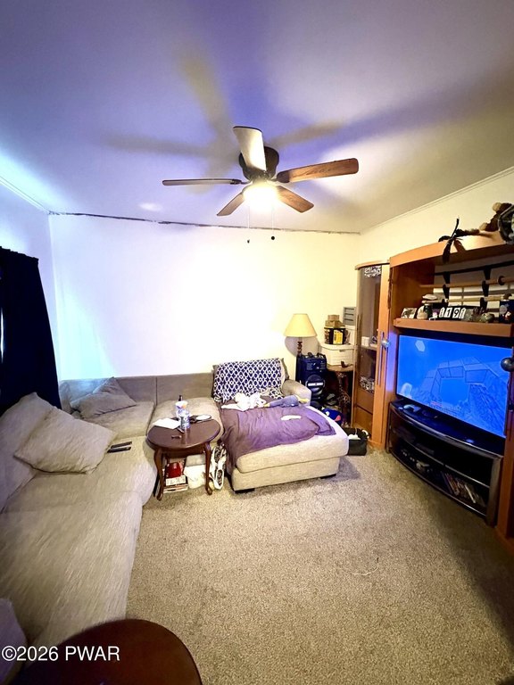 Picture 7