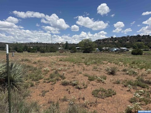LAND - Silver City, NM