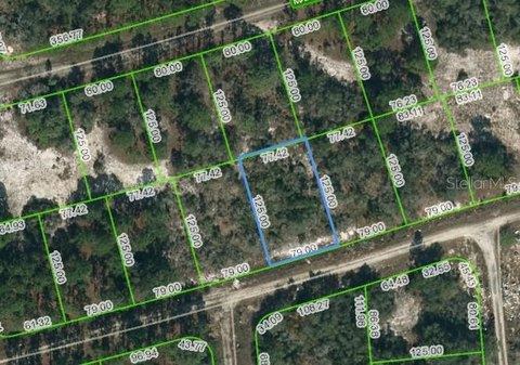 Residential Land in Lake Placid