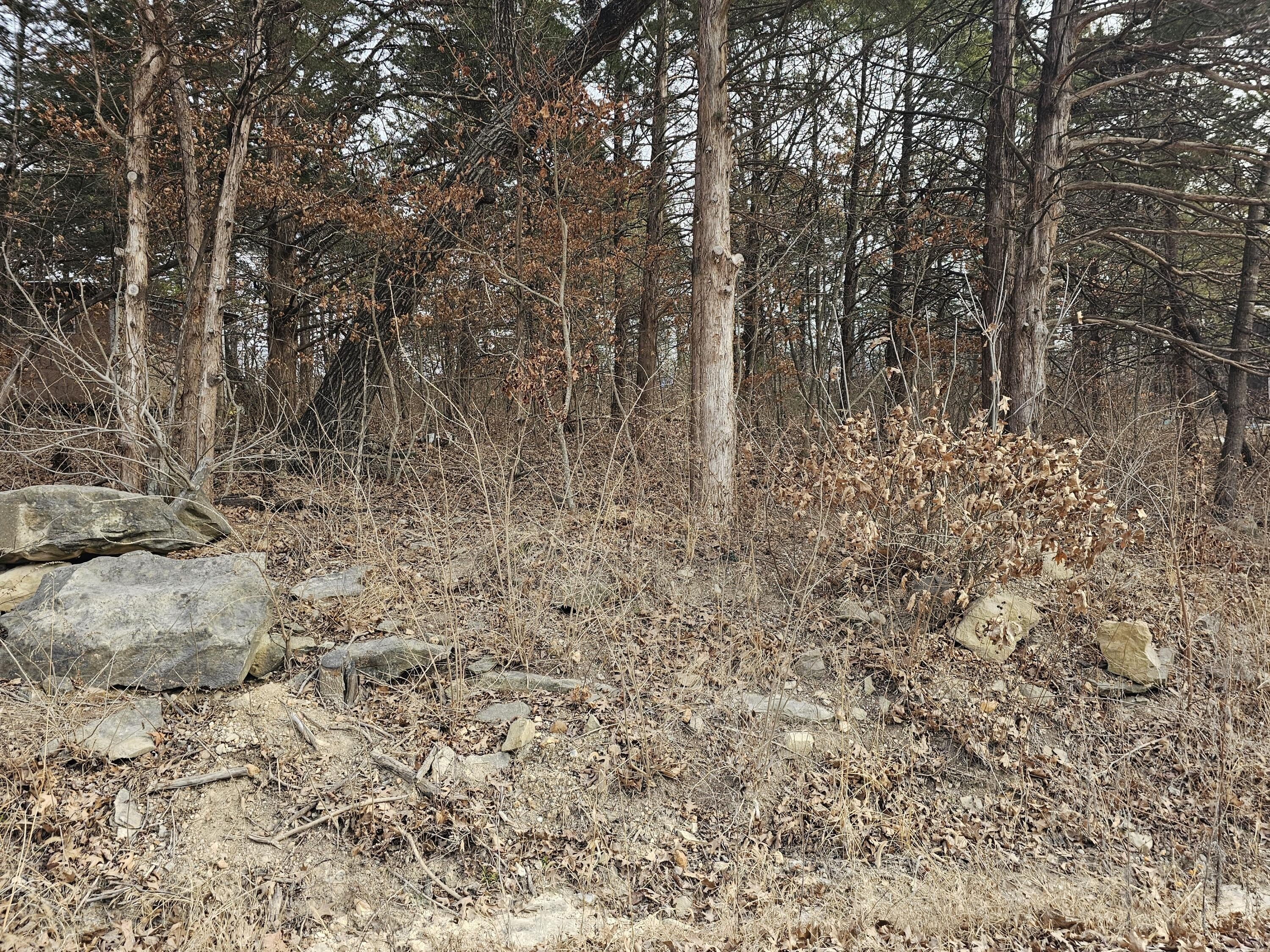 Wooded Lot Near Lake Pomme