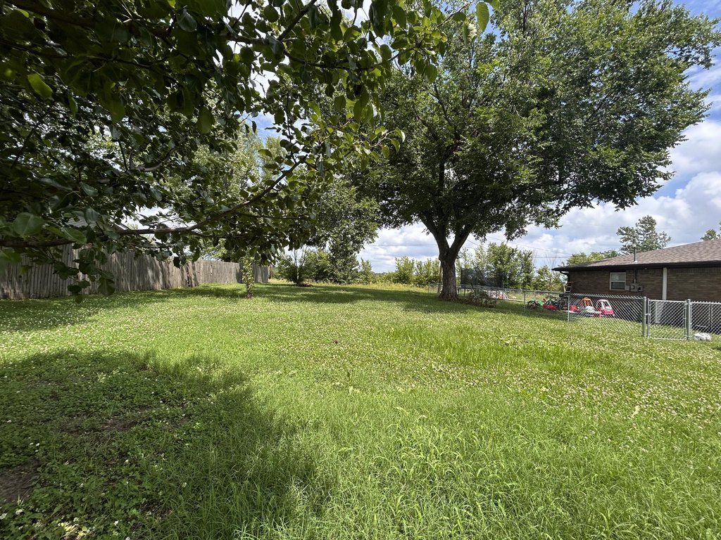 Picture 2