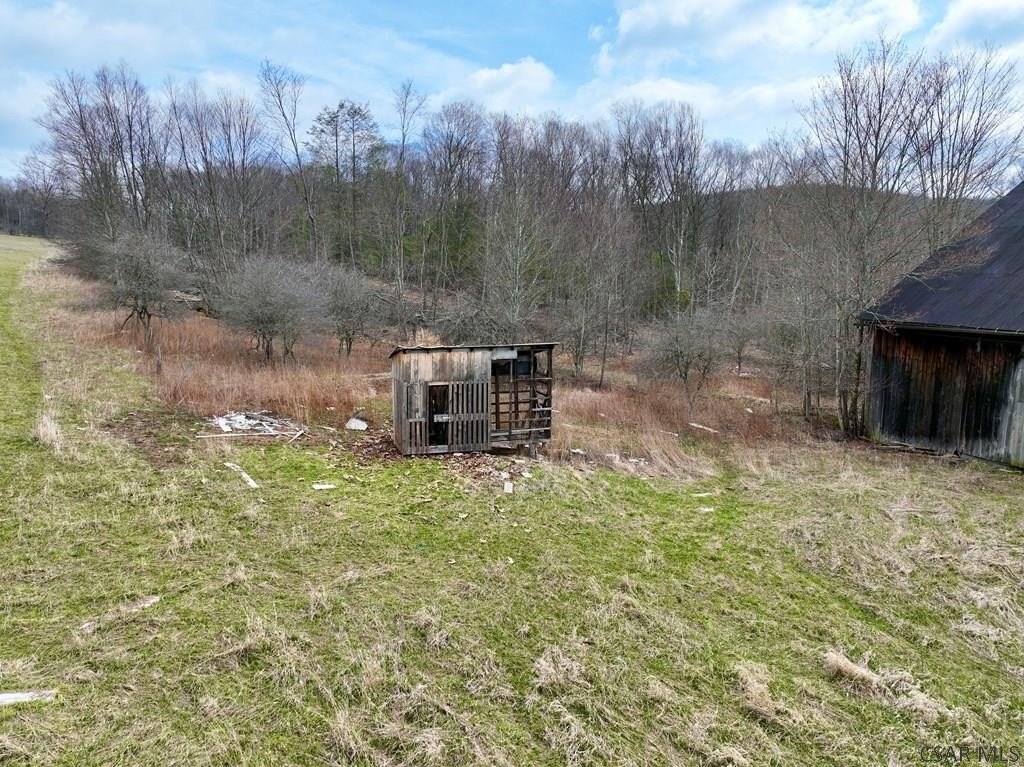 Picture 2