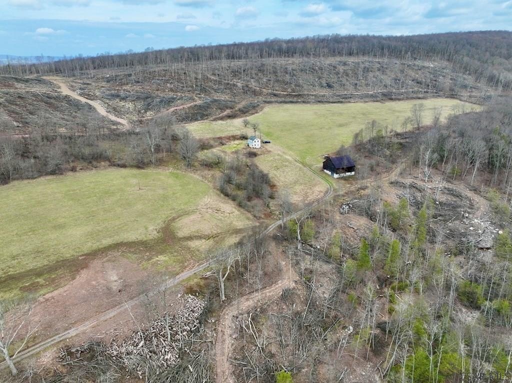 Picture 13